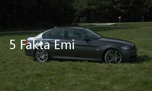 5 Fakta Emisi Batubara yang Jadi Sorotan KLH, Polusinya Lebih Mematikan