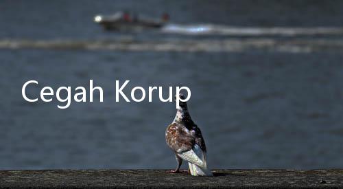 Cegah Korupsi di Tubuh Kementan, Ini yang Dilakukan Amran