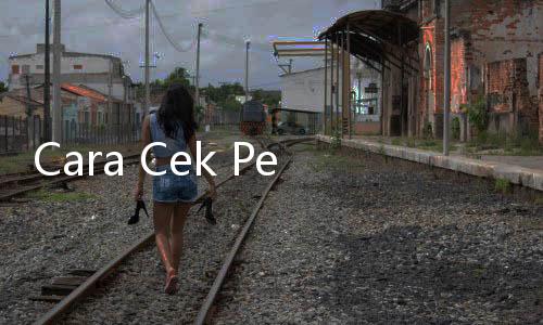 Cara Cek Pengumuman Hasil Seleksi Administrasi PPPK Kemenag 2024 Lengkap Linknya