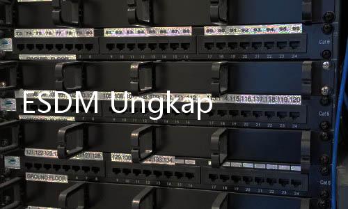 ESDM Ungkap 50% Proyek PLTS Atap Molor karena Kekurangan SDM
