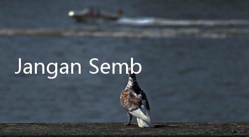 Jangan Sembarangan, Simak 6 Aturan Minum Air Kelapa Ini